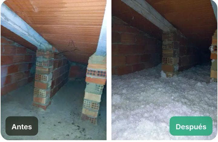 Antes y Después Proyecto 2